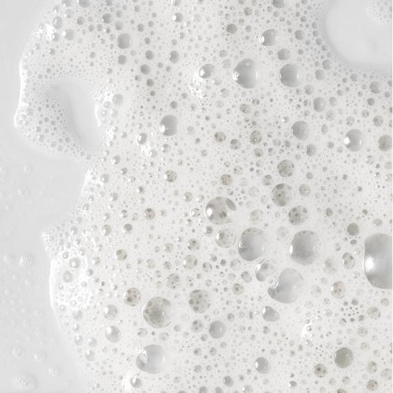 Semi-annual facial membership