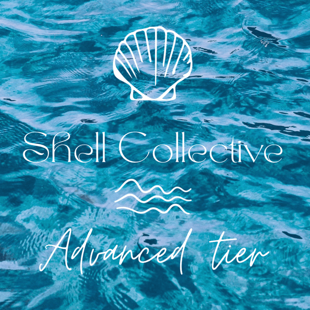 Shell Collective- Advanced Tier at Shell Esthetics in Wilmington, NC